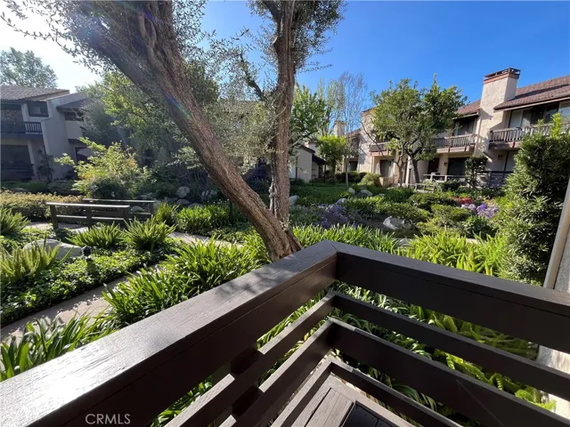 Patio view from family room.