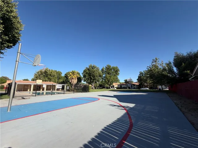 Basketball Court