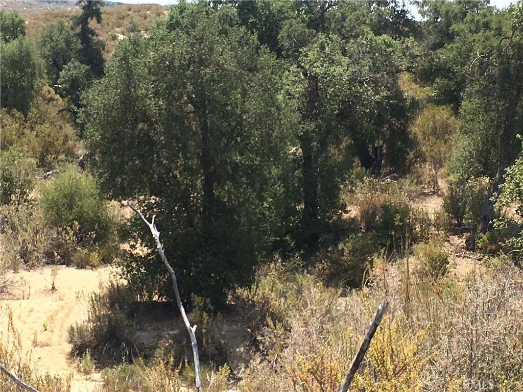 Looking across Willow Creek.