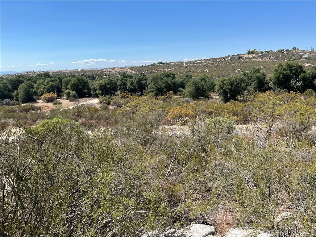 Looking toward the northwest corner of the parcel where Timber Trail intersects with Ames Rd.