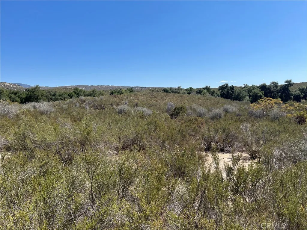 Looking south across the first knoll toward the oak grove.
