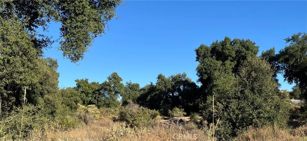 In the oak grove at the south end of the parcel.