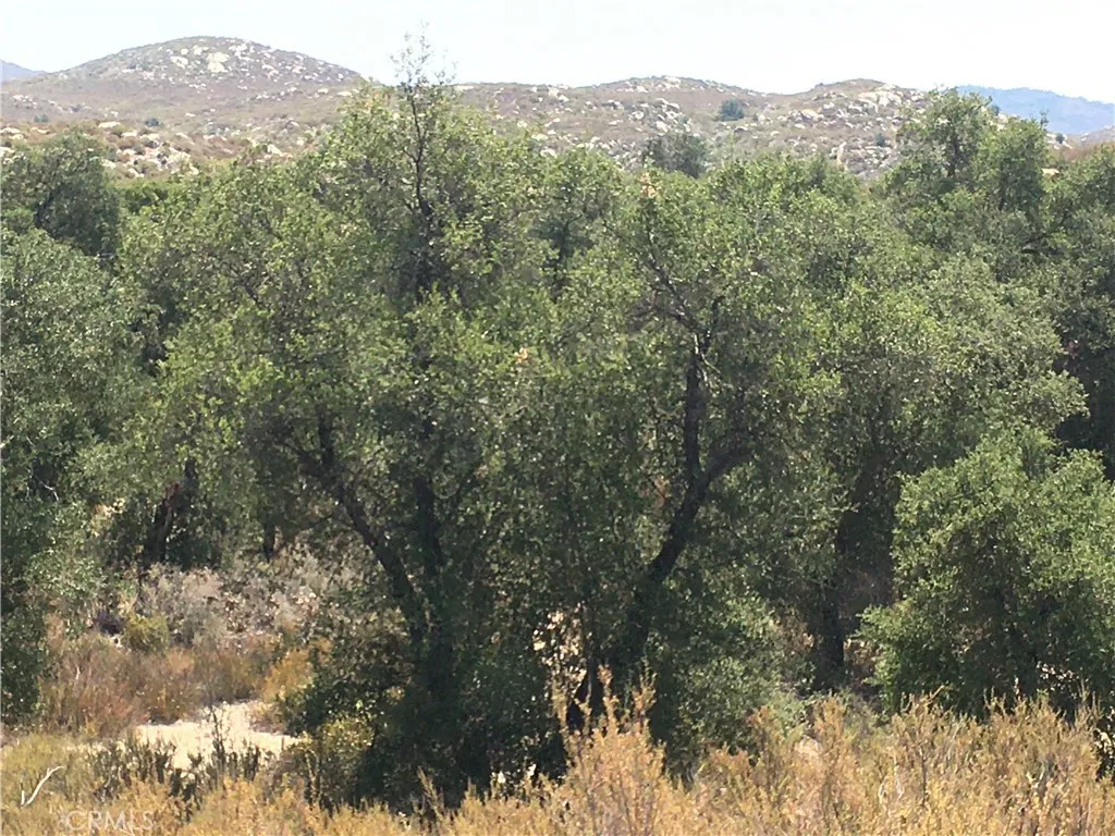Looking south across Willow Creek.
