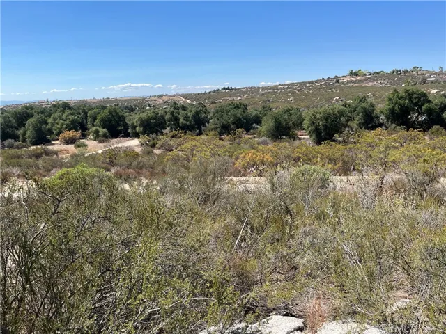 Looking toward the northwest corner of the parcel where Timber Trail intersects with Ames Rd.