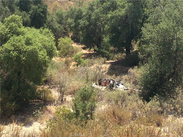 View down into Willow Creek.