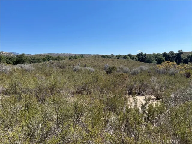 Looking south across the first knoll toward the oak grove.