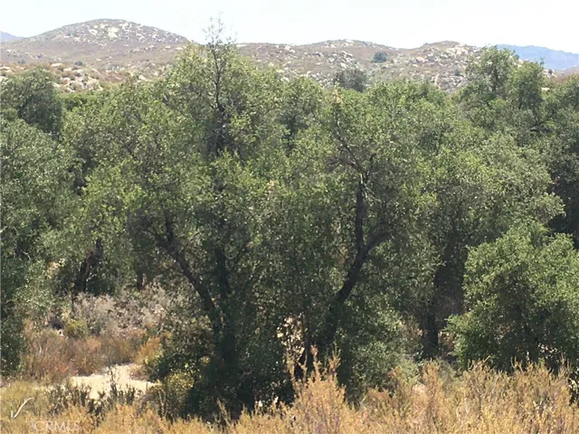 Looking south across Willow Creek.
