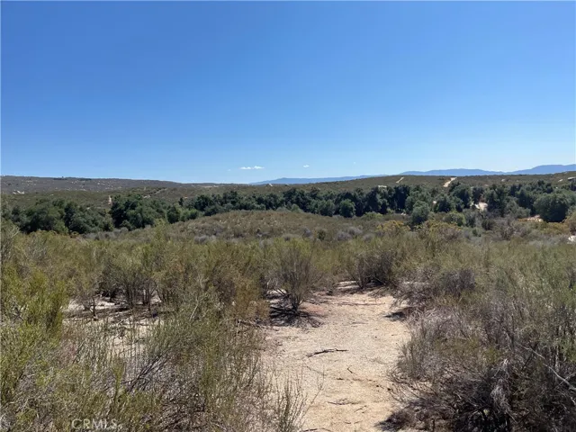 Looking south from the second knoll across the first knoll and across the oak grove. This provides excellent gentle space for a building pad, horse pasture, or some other form of agriculture.
