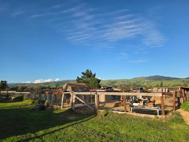 14200 Sycamore Avenue, San Martin, California 95046