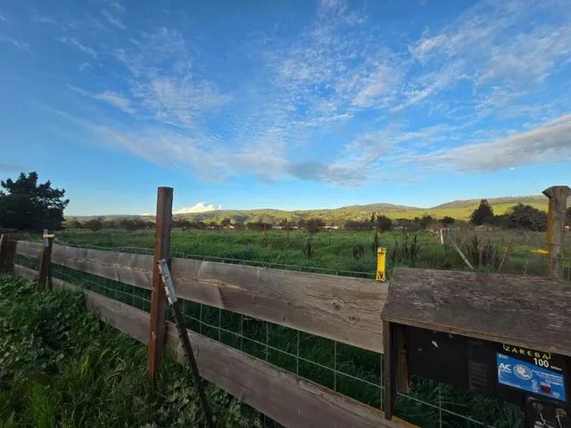 Property goes to the back fence line. You can see it beyond the pasture here.  See photo of map too.