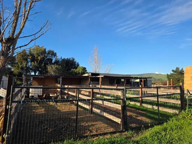 14200 Sycamore Avenue, San Martin, California 95046
