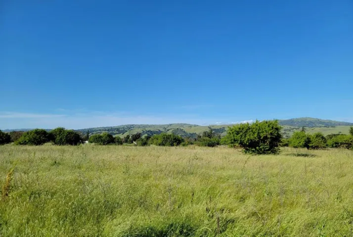 Scenic views from the back of the property of the Diablo Mountain Range.