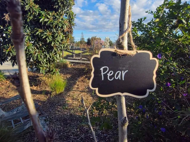 14200 Sycamore Avenue, San Martin, California 95046