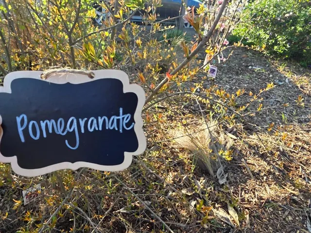 14200 Sycamore Avenue, San Martin, California 95046