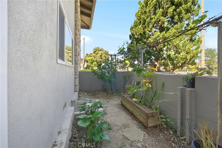 Patio Garden
