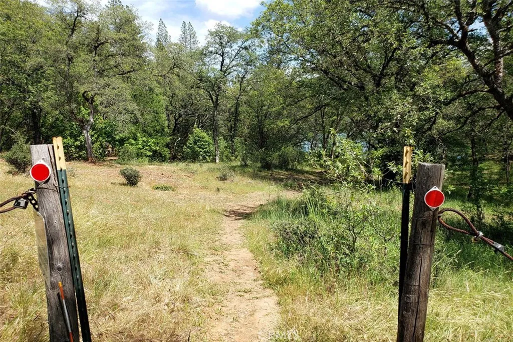 Walking Trail To Private Beach
