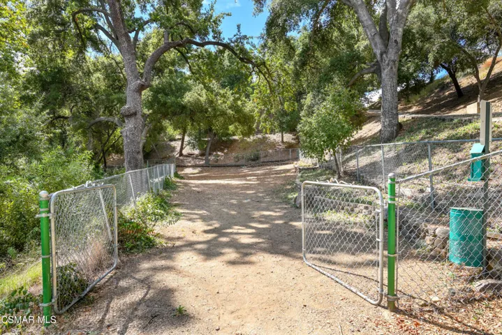 Dog Park