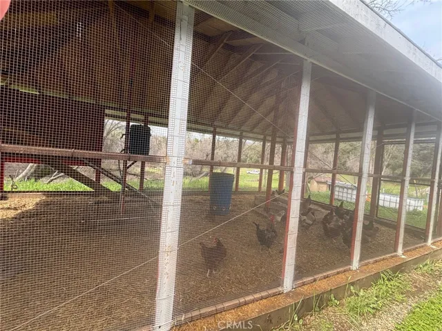 Chicken Coop/Chickens not included