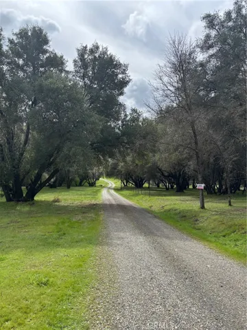 Driveway to home