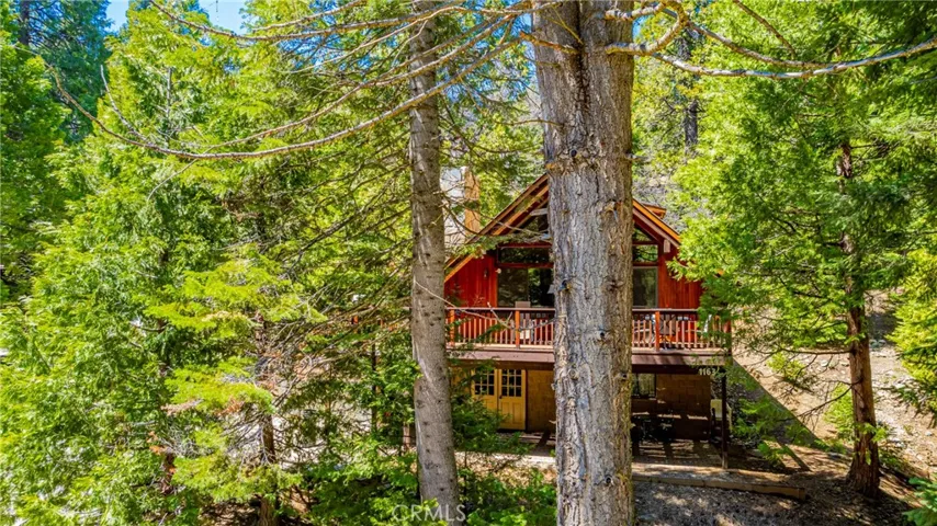 Cabin in the Woods