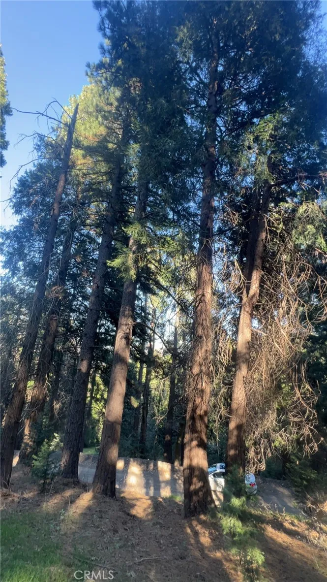 0 Reservoir, Cedarpines Park, California 92322 — photo 5