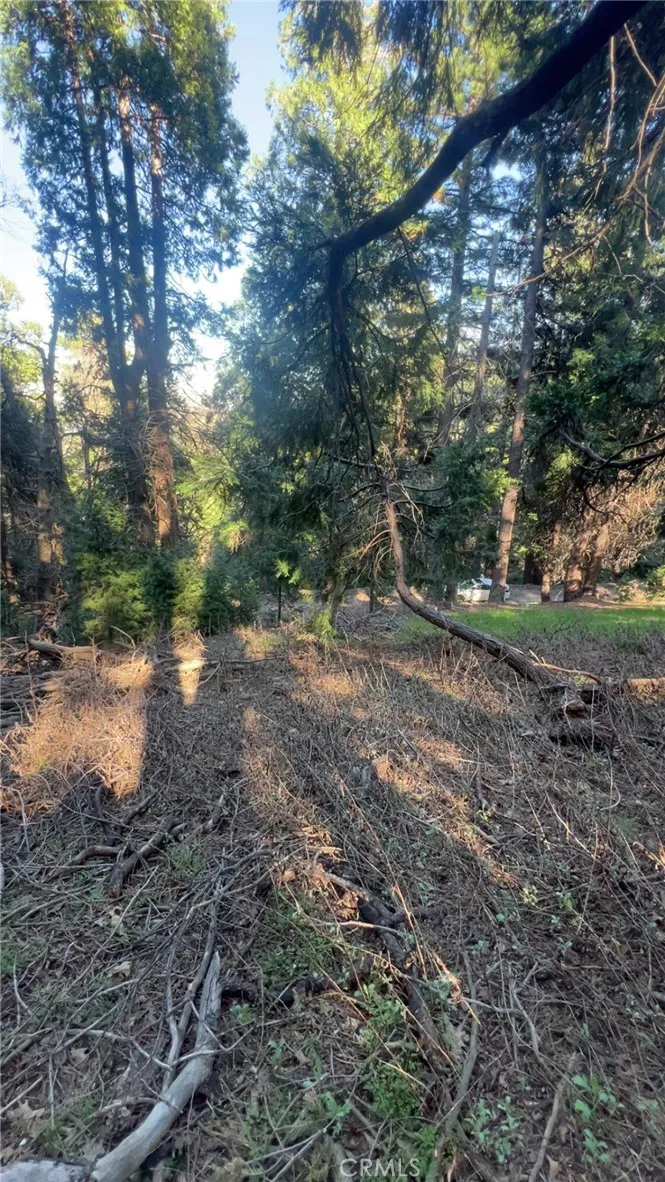 0 Reservoir, Cedarpines Park, California 92322 — photo 4