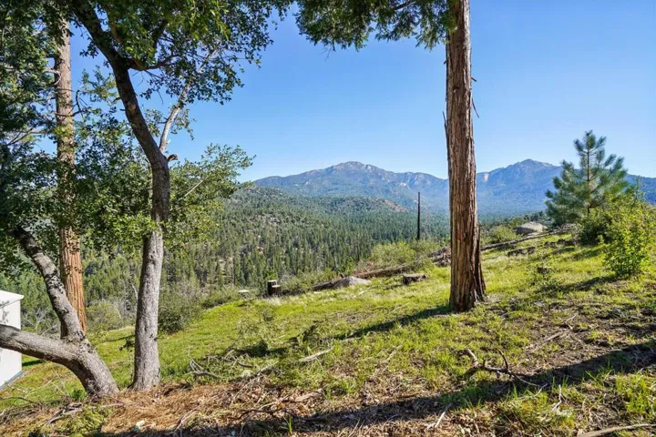 33-web-or-mls-Double View Dr-S1903-032