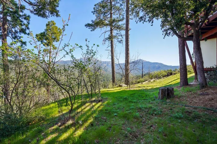 32-web-or-mls-Double View Dr-S1903-033