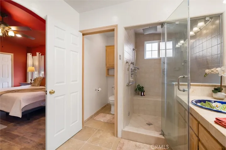 Steam Shower and water closet area
