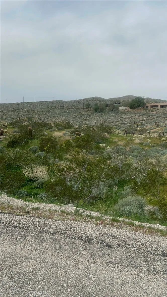 Slight West View of Property