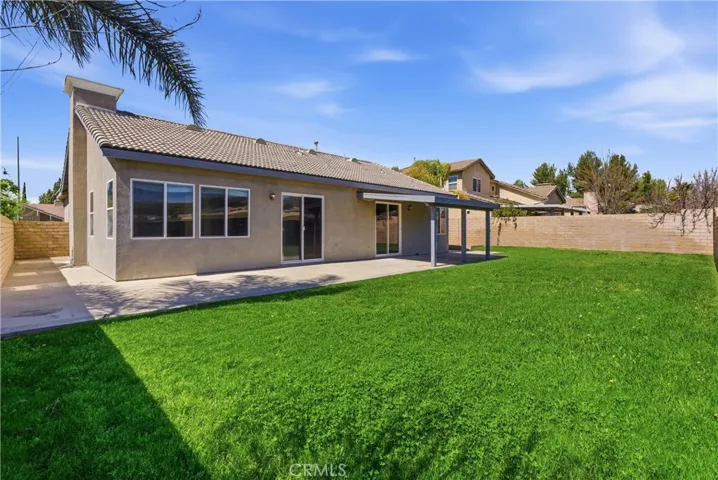 Another View of the Backyard