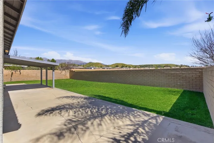 Another View of the Backyard