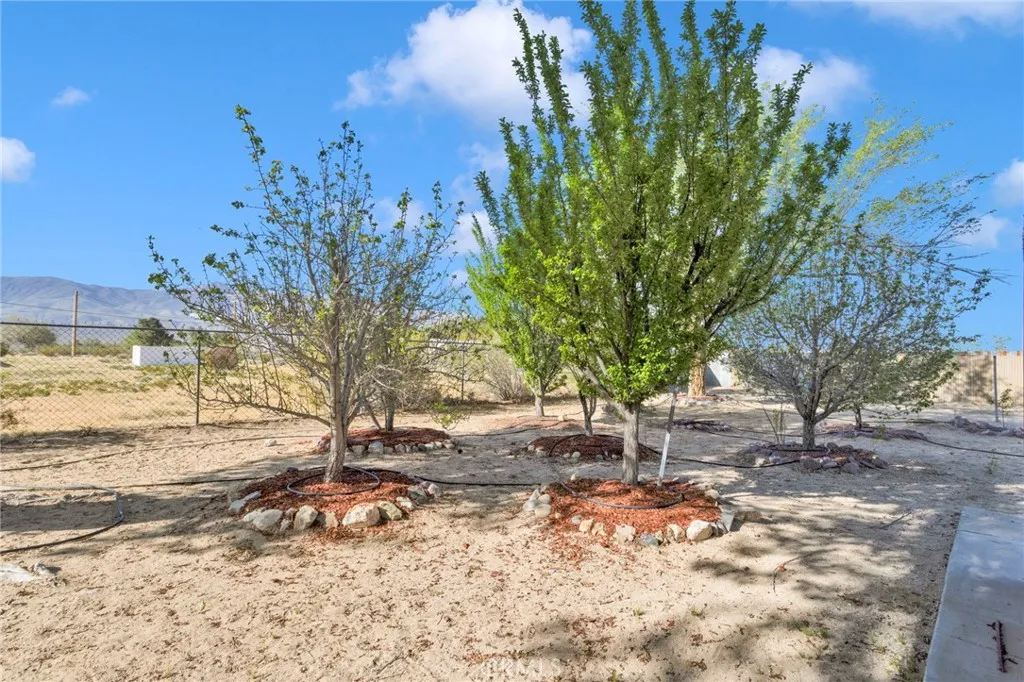 Variety of established fruit trees, including [apple/ Nectarine/Peach/Cherry etc.], providing seasonal harvest potential and added outdoor charm.
