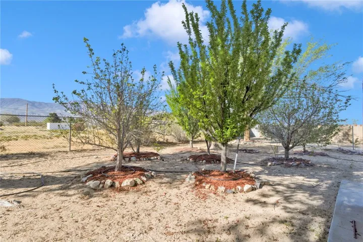 Variety of established fruit trees, including [apple/ Nectarine/Peach/Cherry etc.], providing seasonal harvest potential and added outdoor charm.