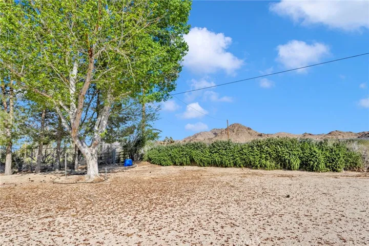 10298 Custer Avenue, Lucerne Valley, California 92356