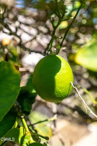 2007 Inez dr, MLS-40