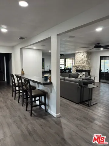 Entrance/Bar/Livingroom