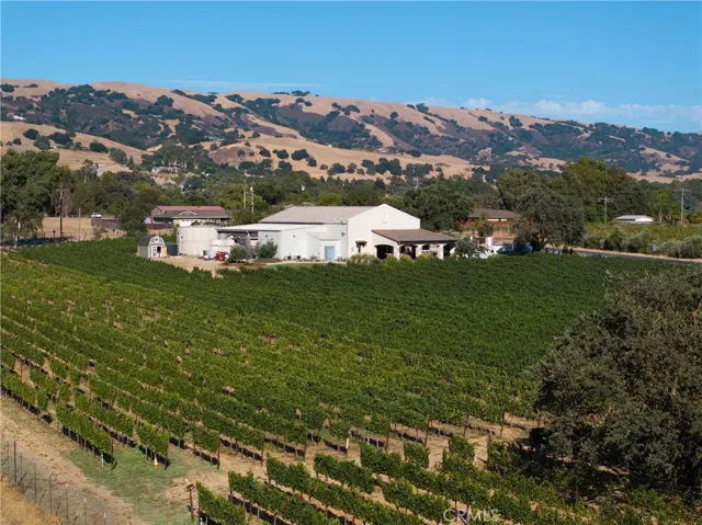 7+/- Acres Vineyard