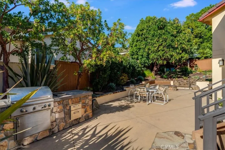 Back yard BBQ