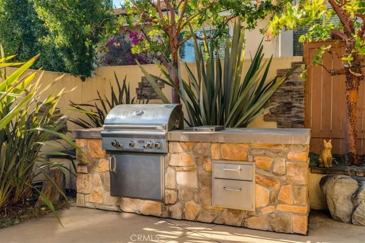 Back yard BBQ and kitchen