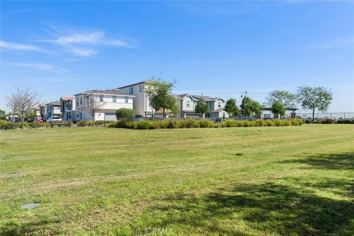 Community Park