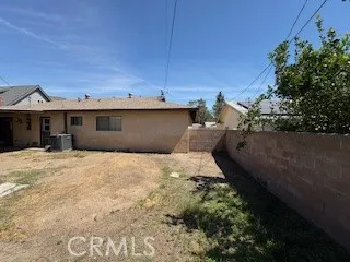 Back yard