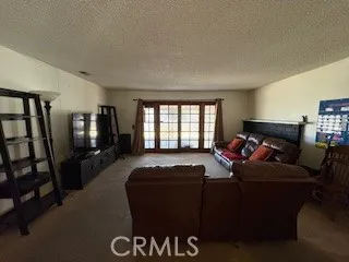 Living room French doors