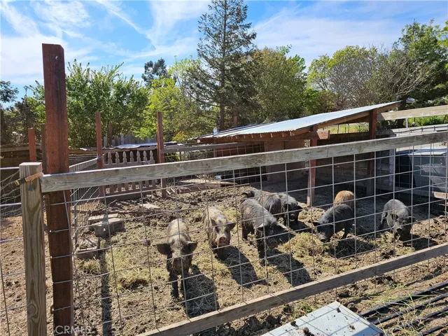 8199 Plane View, Paso Robles, California 93446