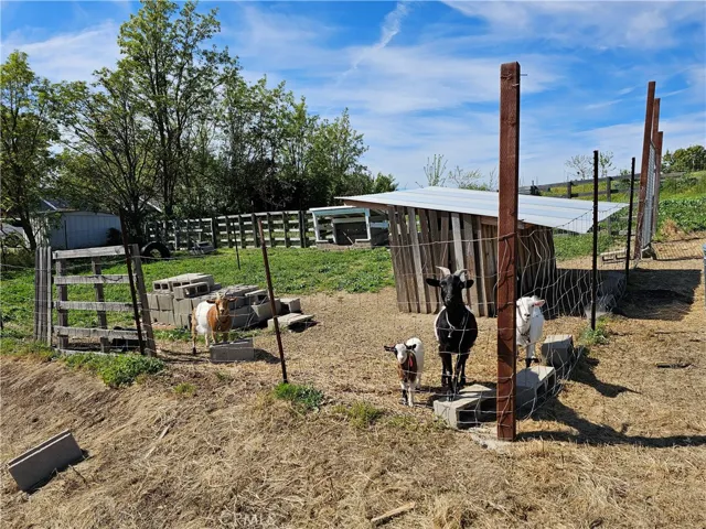 8199 Plane View, Paso Robles, California 93446