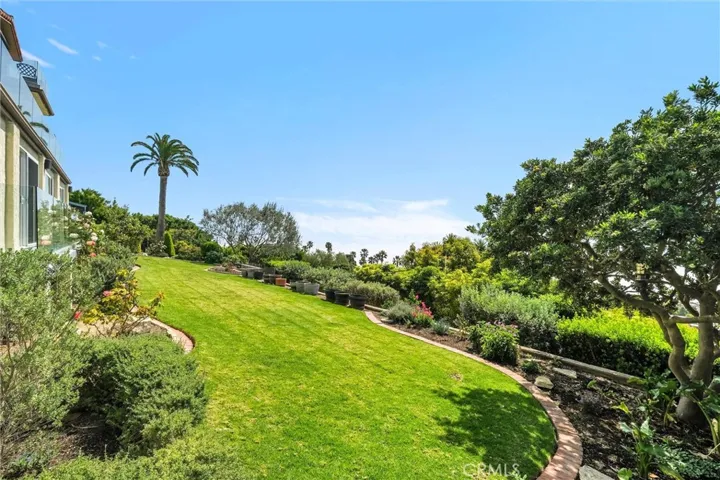 Beautiful yard