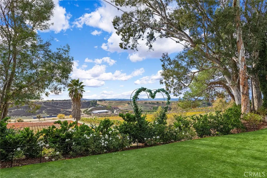 Romantic Views from Wedding party area, patio and picnic area