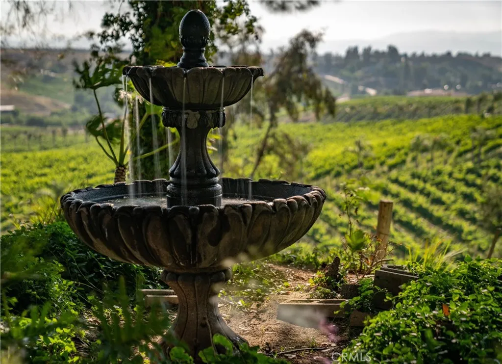 Elegant Fountain at Wedding Venue