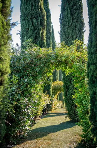 Romantic walkway to Wedding Venue
