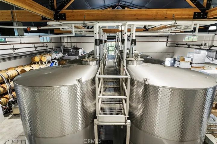 New Custom Cat Walk above Tanks